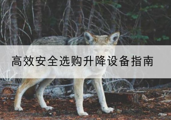 平阳升降货梯厂家推荐-*安全选购升降设备指南