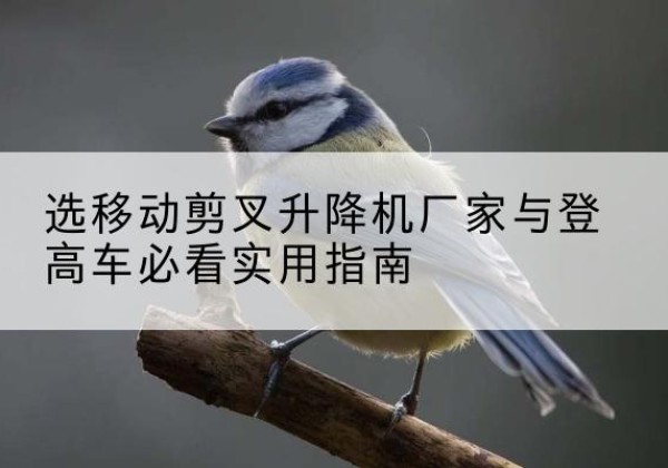 平阳电动升降机厂家-选移动剪叉升降机厂家与登高车必看实用指南