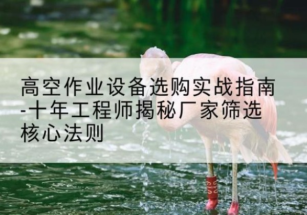 平阳剪叉式升降机厂家-高空作业设备选购实战指南-十年工程师揭秘厂家筛选核心法则